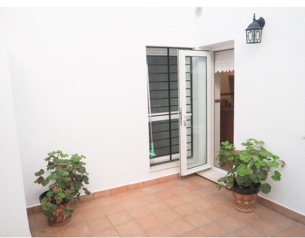 קוניל דה לה פרונטרה Conilplus Apartment Castilnovo מראה חיצוני תמונה